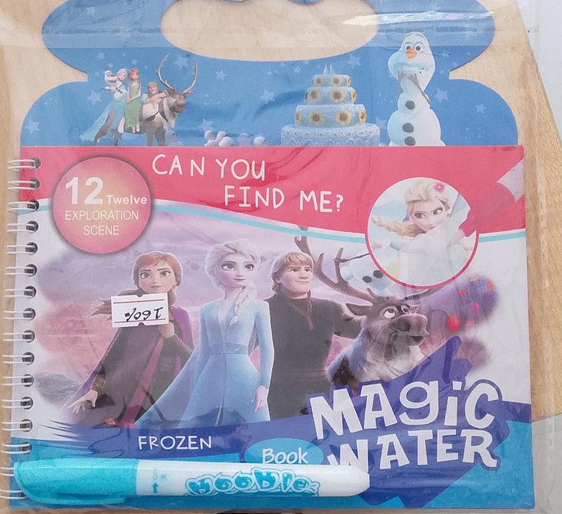 Frozen Magic Water Book